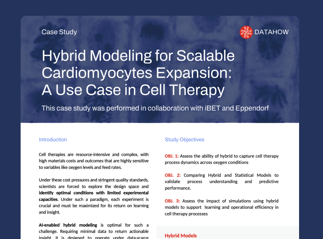 iBET Case Study